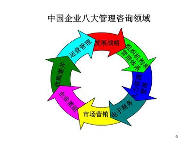 中國企業管理咨詢提要
