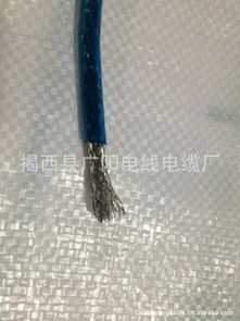 揭西縣廣陽電線電纜廠同軸電纜與電線產品概覽